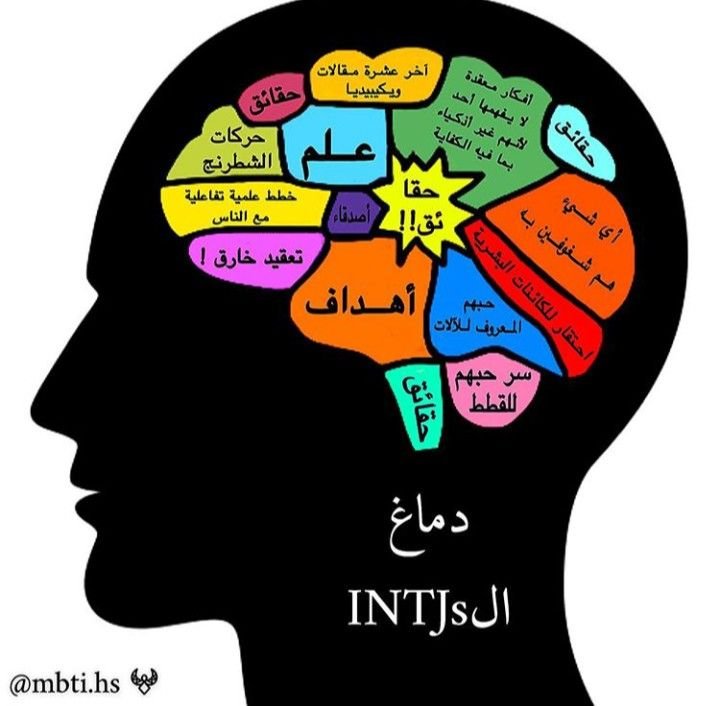 اكتشف ما هو نمط شخصيتك؟ اي مهنة\ موضوع تعليمي يناسبك